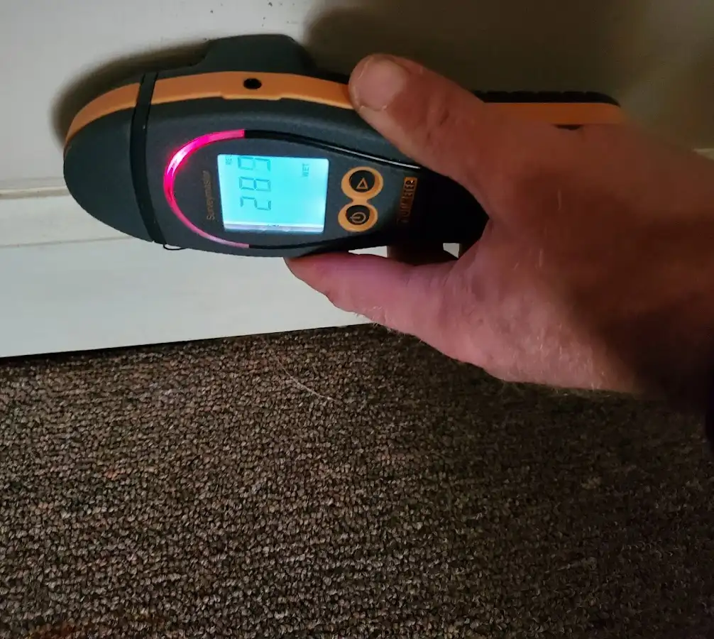 Moisture detection at baseboard during Burst Pipe Cleanup in Wilson